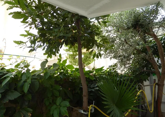 Bojanic Appartement Vodice